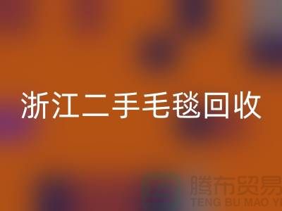 二手毛毯回收，舊物新生的【浙江，上海，江蘇】綠色的庫存之旅