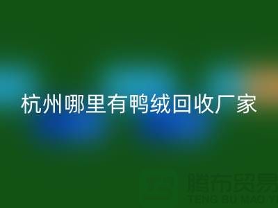 揭秘羽絨回收市場，每斤價值幾何？杭州鴨絨回收廠家