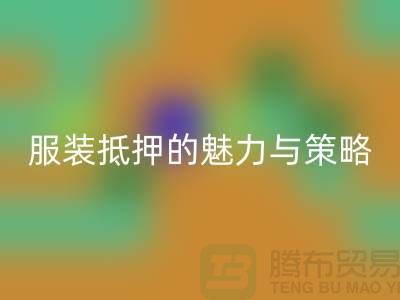 解鎖衣櫥新財富:服裝抵押的魅力與策略——上海服裝回收公司