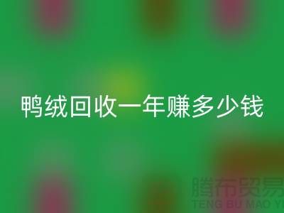 鴨絨回收一年掙多少錢？揭秘利潤與環保的雙重收益