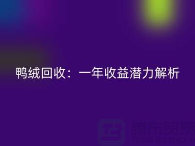 鴨絨回收：一年收益潛力解析@上海騰布貿(mào)易
