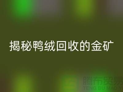 揭秘鴨絨回收的金礦，一年能掙多少錢？上海羽絨回收廠家