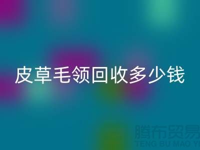 真皮皮衣皮草毛領回收多少錢一個？-上海騰布貿易