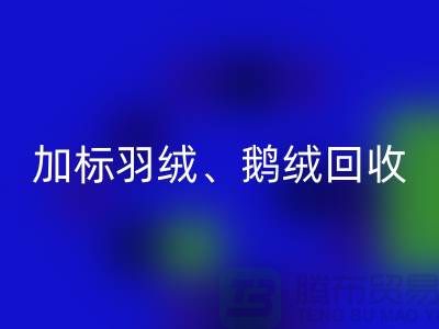 新國標羽絨回收：加標羽絨回收、鵝絨與鴨絨回收廠家全解析