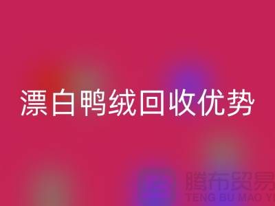 ### 純白90％鵝絨、漂白鴨絨回收優勢與南通鴨絨收購公司