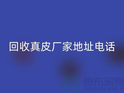 廢舊皮革回收對環(huán)境保護的重要意義-廣州回收真皮廠家地址