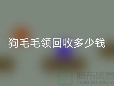 狗毛毛領(lǐng)回收多少錢一條
