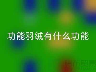 什么是功能羽絨-包含了什么功能-回收庫存羽絨-回收庫存鴨絨廠家