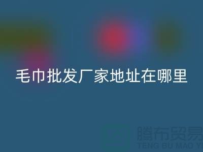 竹纖維毛巾批發(fā)廠家地址在哪里-上海騰布貿易