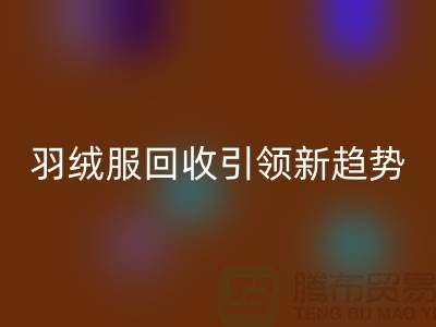 環保時尚潮流:羽絨服回收引領新趨勢