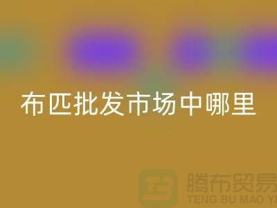 布匹批發(fā)市場中哪里布料市場最有名_沙發(fā)布料批發(fā)市場