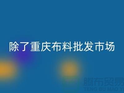 除了重慶布料批發市場是專業的，還有哪些批發市場可以選擇