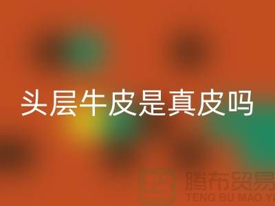 鞋子頭層牛皮是真皮嗎還是假皮@騰布解說(shuō)員分享