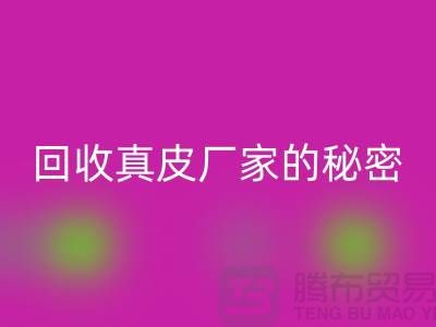 回收真皮廠家的秘密:打造環保時尚的循環經濟