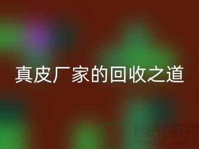 探尋真皮廠家的回收之道:打造環保時尚新潮流
