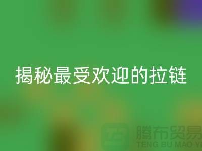 揭秘最受歡迎的拉鏈品牌排行榜,你知道嗎?