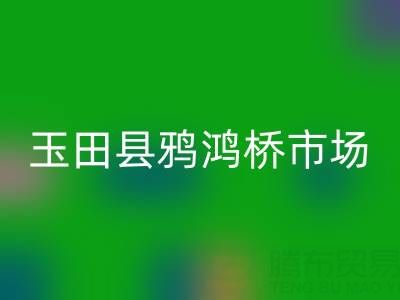 河北服裝尾貨批發市場在哪里進貨——玉田縣鴉鴻橋市場