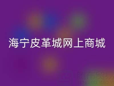 海寧皮革城網上商城詳細地址