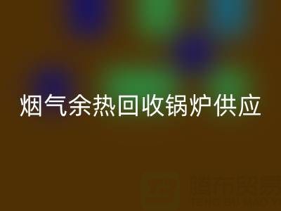 煙氣余熱回收鍋爐供應商盤點：行業領先企業及技術解析