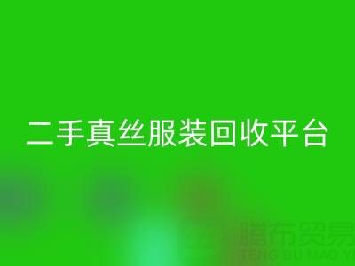 循環時尚新趨勢:二手真絲服裝回收平臺如何重塑綠色衣櫥