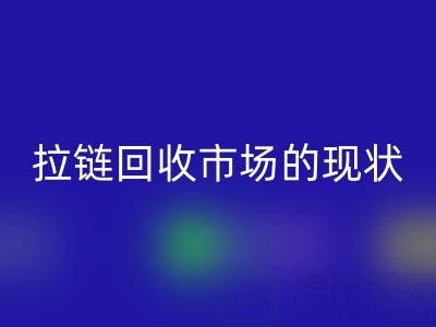 拉鏈回收市場的現(xiàn)狀：機遇與挑戰(zhàn)并存