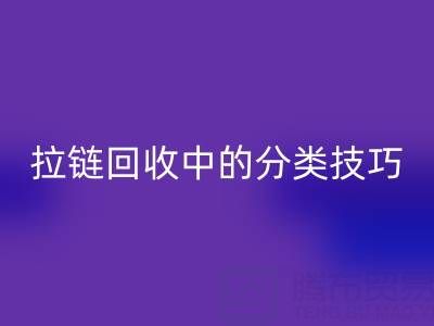 拉鏈回收中的分類(lèi)技巧：提高回收效率的秘訣