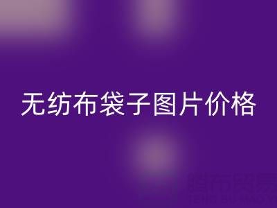 無紡布袋子生產廠家：如何高效獲取產品圖片與價格指南