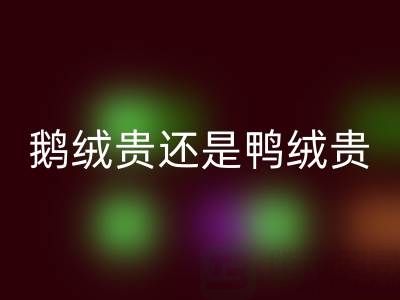鵝絨貴還是鴨絨貴？鵝絨和鴨絨選購建議大揭秘！