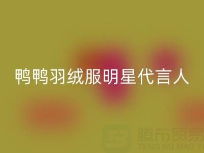 鴨鴨羽絨服明星代言陣容大揭秘!鞠婧祎領(lǐng)銜,馬斯克媽媽驚艷亮相