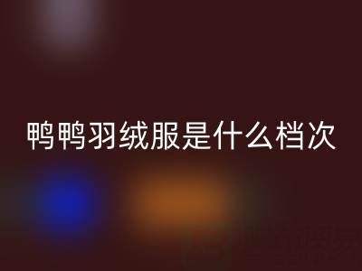 鴨鴨羽絨服是什么檔次的牌子??jī)r(jià)格貴嗎?