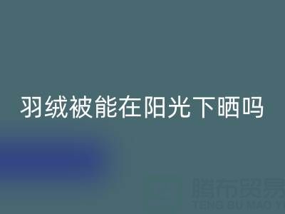 羽絨被能在陽光下曬嗎？——上海鴨絨回收廠家揭秘
